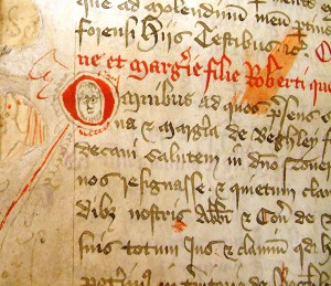 dscf0414-cropped-and-enhanced