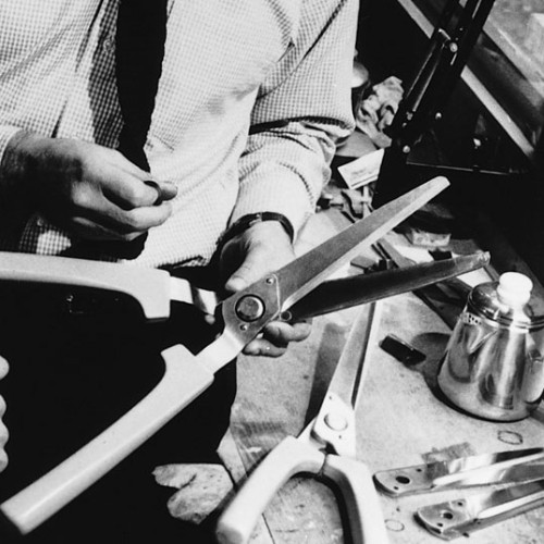 dm-5-1960s_500x500_acf_cropped
