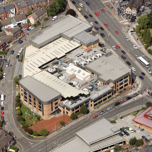 swan-morton-ariel_500x500_acf_cropped